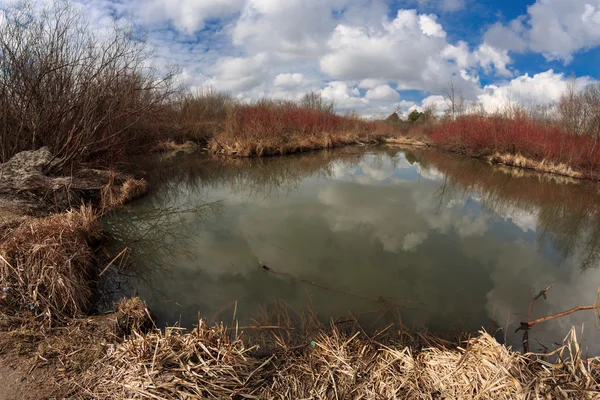 Pond — Stock Photo, Image