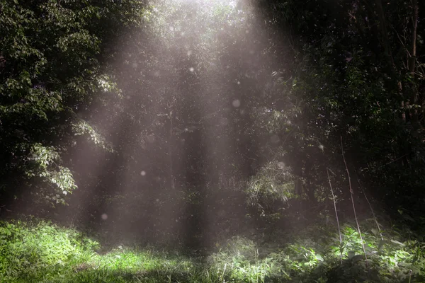 Karanlıkta ışık ışını