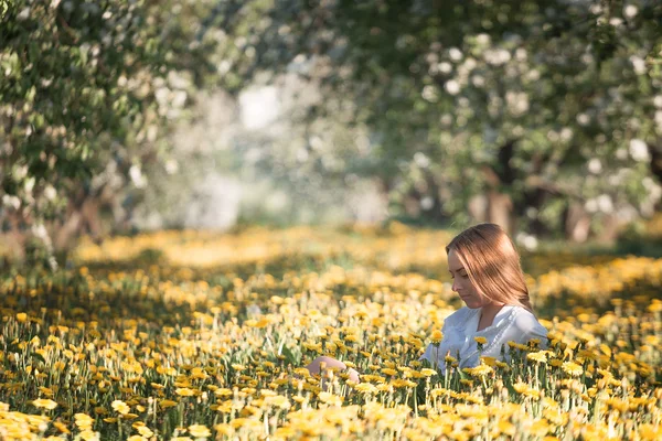 Girl on flower meadow 4 — Stok fotoğraf