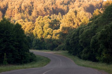 road in the forest ravine