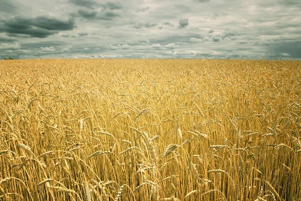 Brot 6 — Stockfoto