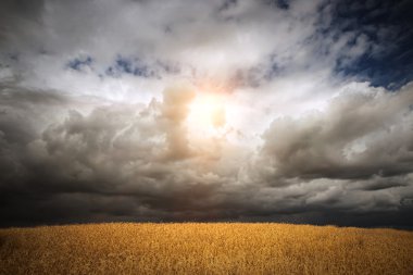 fırtına bulutları 8 alan