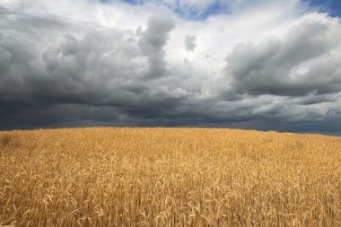 fırtına bulutları alan 6