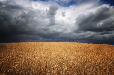 fırtına bulutları alan 6