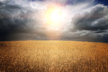 fırtına bulutları alan 6