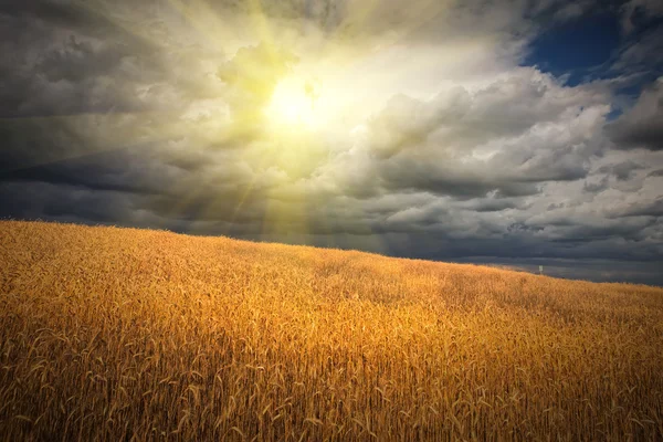 fırtına bulutları alan 4