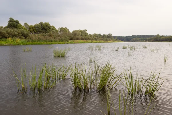 Eventide lake before the rain — Stock Photo, Image