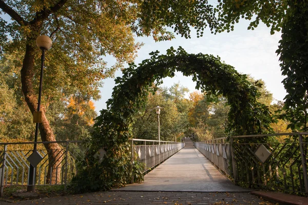 Green arch in the park — Stock Photo, Image