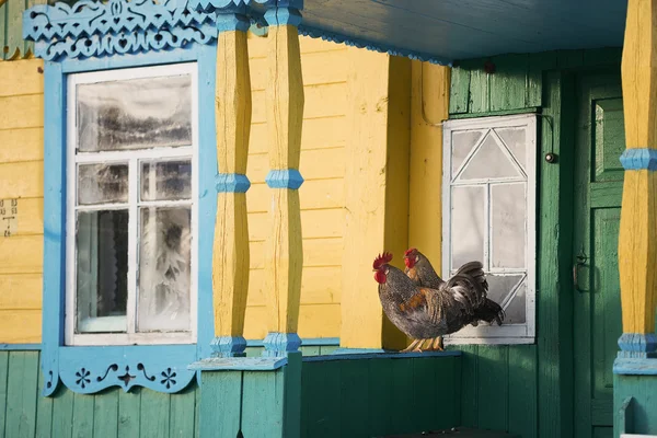 Aves no alpendre da casa rural — Fotografia de Stock