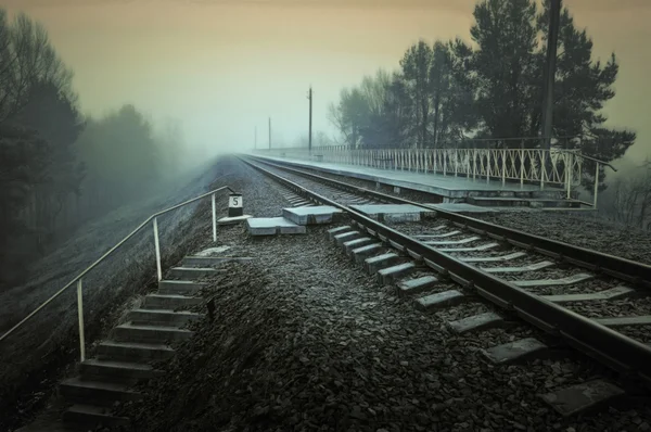 Trilha ferroviária durante a manhã nebulosa de outono no campo — Fotografia de Stock