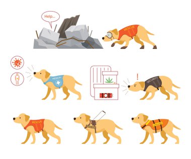 Yardım Köpekleri Seti, Sağlık, Kurtarma, Rehber, Güvenlik ve Koruma