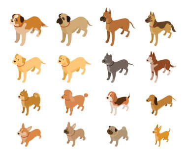 Çeşitli Köpek Türleri Isometric Set, Büyük, Orta ve Küçük Vücut Boyutları
