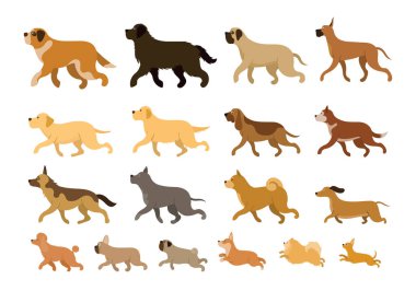 Çeşitli Köpek Yetiştirme Seti, Büyük, Orta ve Küçük Vücut Boyutları, Yan Görünüm