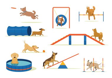 Köpekler Ekipman Seti, Oyun Alanı, Eğitim, Egzersiz ve Meydan Okuma