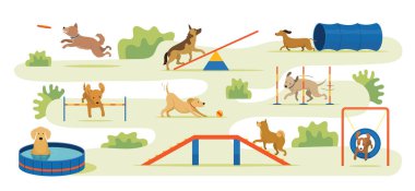 Köpeklerin Oyun Sahasında Oynaması, Oyuncaklar ve Ekipmanlarla Park Arkaplanı