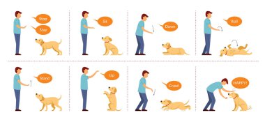 El İşaretleri ile Köpek Eğitimi, Temel Köpek Komutanlığı ve Davranış Kontrolü