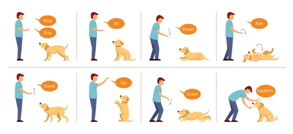 Hundträning Med Handsignaler Basic Dog Command Behavior Control — Stock vektor