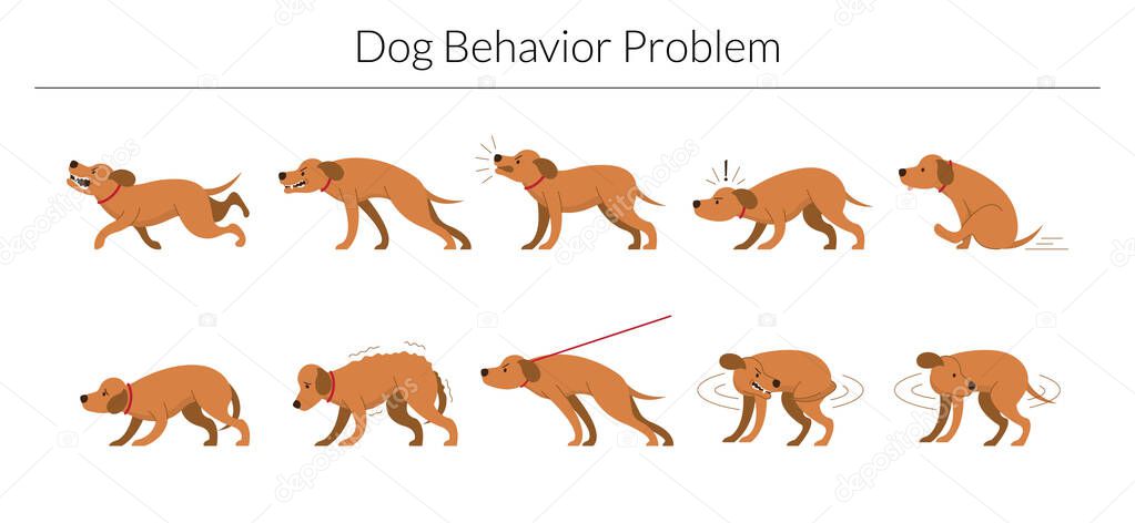 Dog Behavior Problem Set, Aggressive, Fear, Stubborn and Biting Tail