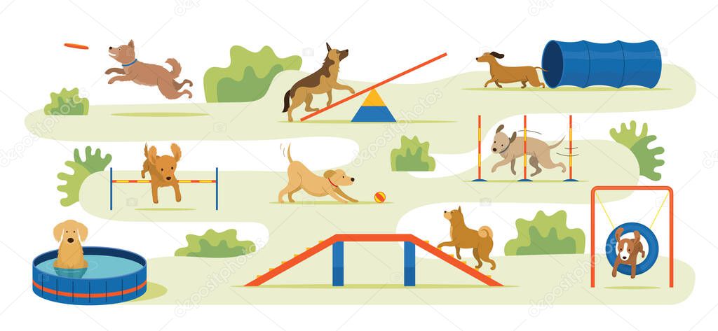 Dogs Playing in Playground , Park Background with Toys and Equipments