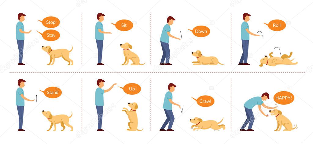 Dog Training with Hand Signals, Basic Dog Command and Behavior Control