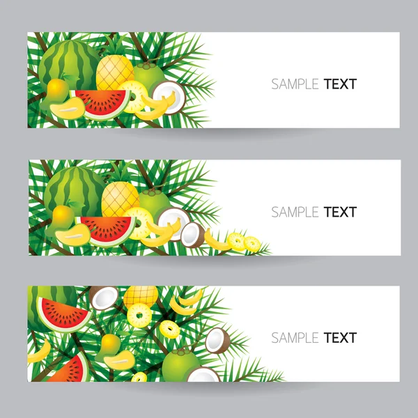 Frutas tropicais mistas, Banner — Vetor de Stock