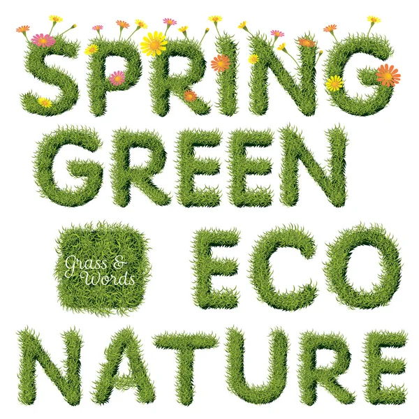 Green Grass Spring & Ecology Word — Stock Vector