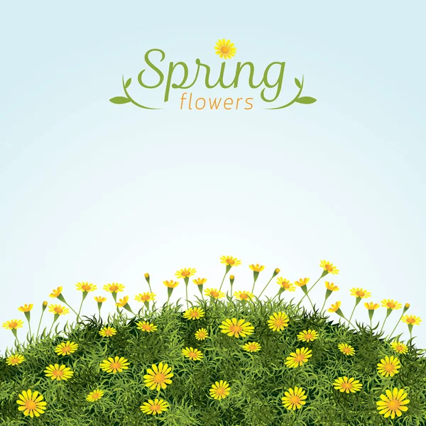 Flowers Spring Field Season Background — Stock Vector
