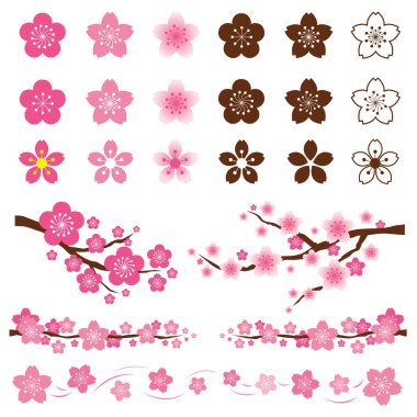 Kiraz çiçekleri veya Sakura süs çiçek
