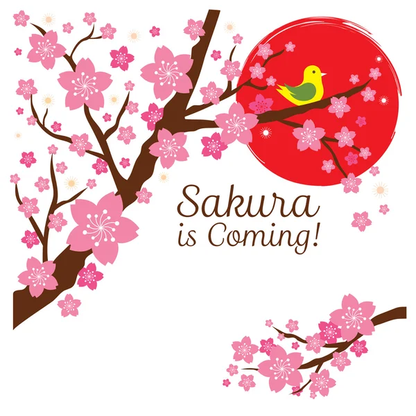 Kirschblüten oder Sakura-Blumen mit Vogel am Zweig — Stockvektor