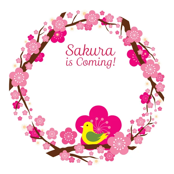 Flores de cerejeira ou flores de Sakura — Vetor de Stock