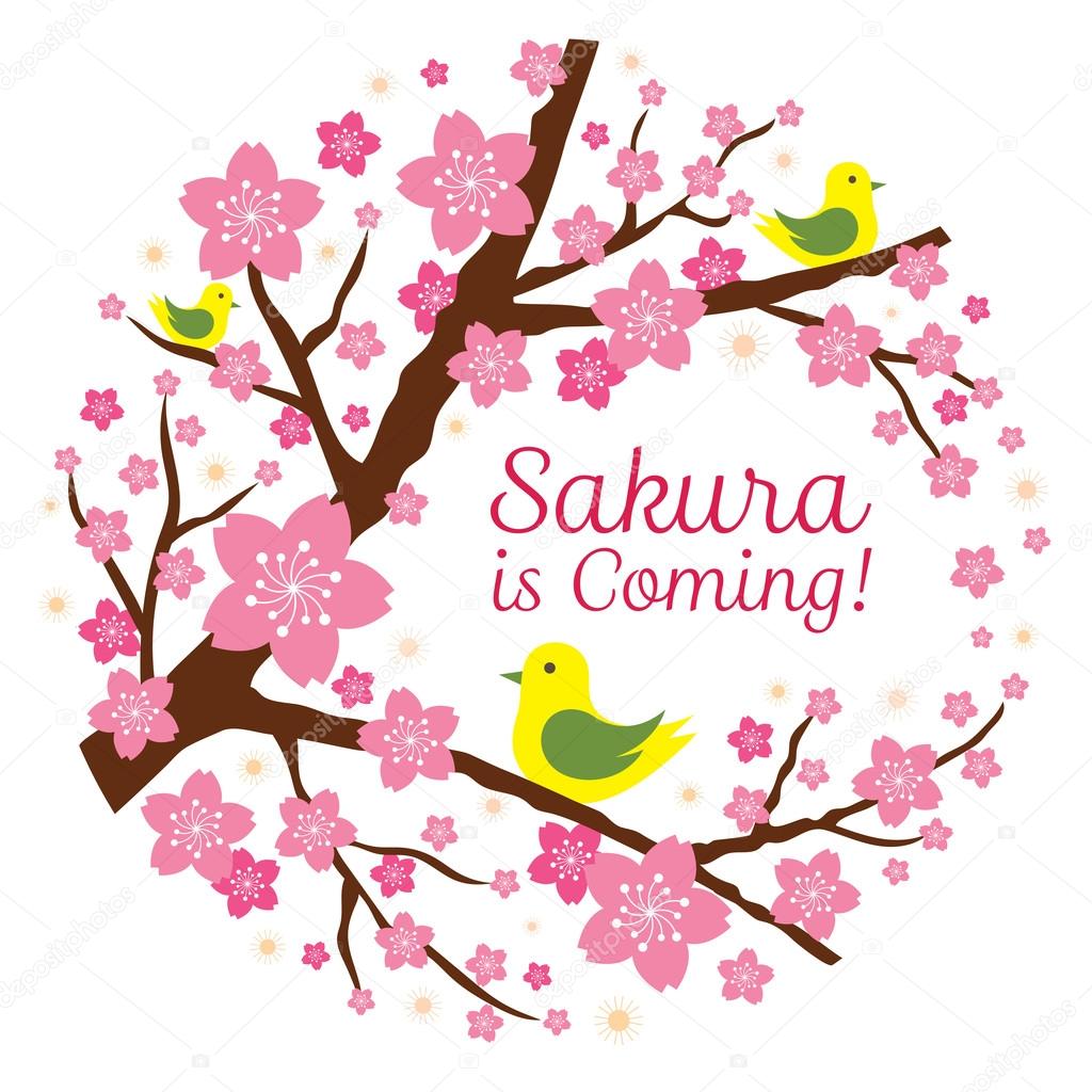 Cherry Blossoms or Sakura flowers with Bird Heading