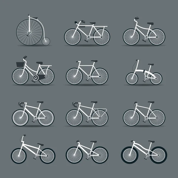 Bicycle Types, Objects Icons Set — Stock Vector