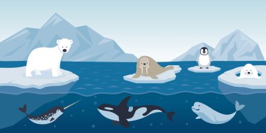 Arctic Animals Character and Background clipart