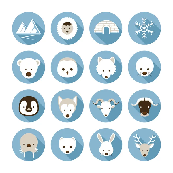 Arctic Animals Flat Icons Set — Stock Vector