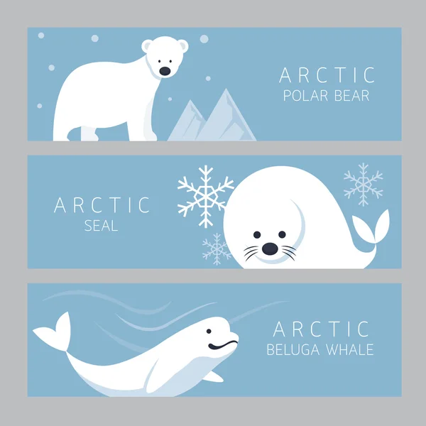 Arctic Banner, Polar Bear, Seal, Beluga Whale — Stock Vector