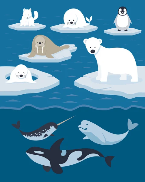 Arctic Animals Character and Background — Stock Vector