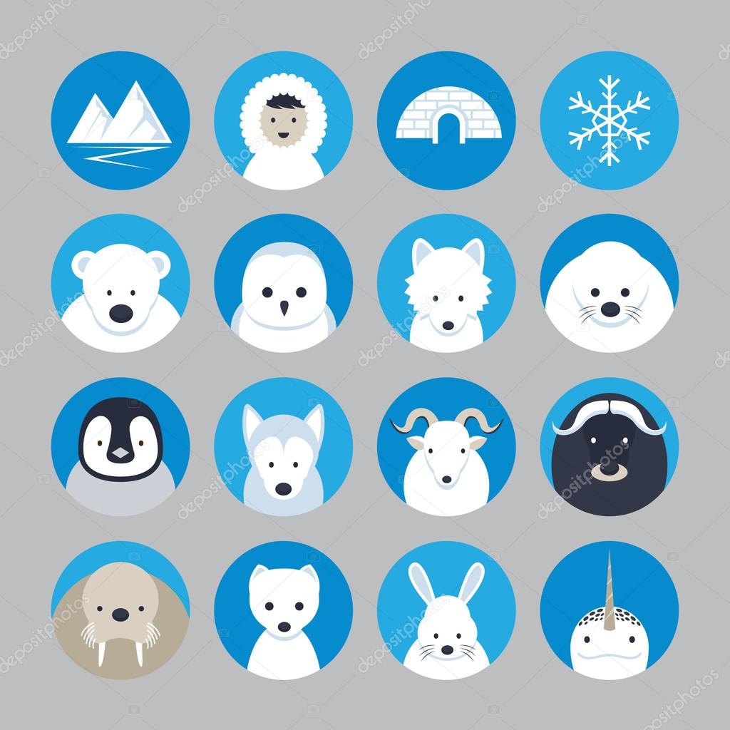 Arctic Animals Flat Icons Set