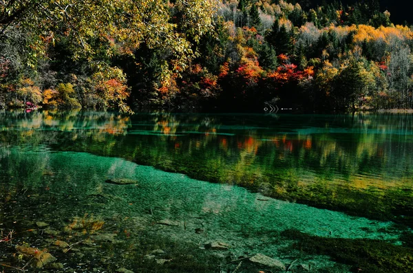 Bella vista sul lago — Foto Stock