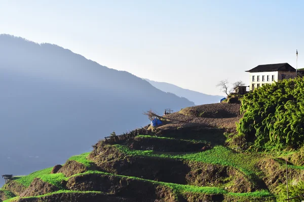 Terrasvormige veld in de Himalaya — Stockfoto