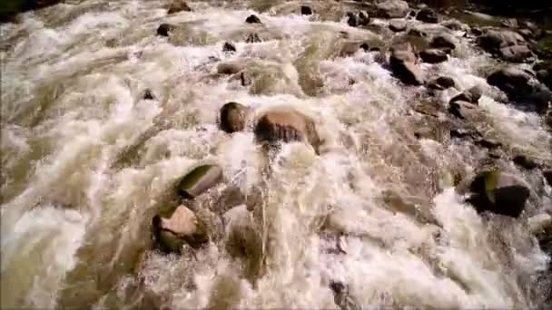 River flow aerial view. — Stock Video