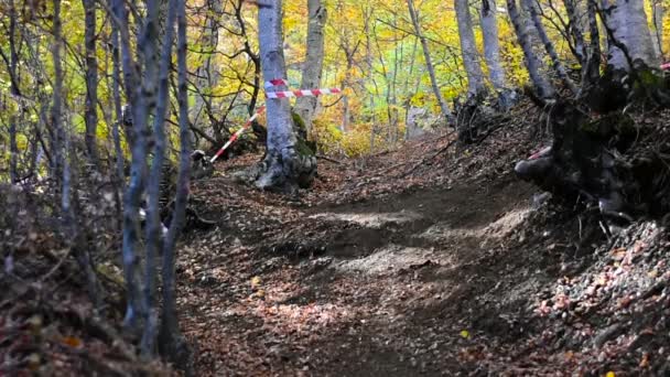 Carrera de descenso en bicicleta. Saltos en bicicleta. El ciclismo como deporte extremo y divertido — Vídeos de Stock