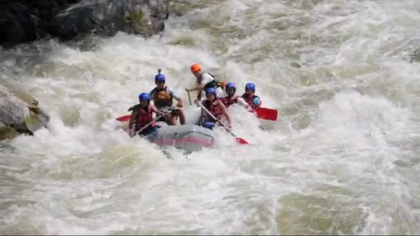 Rafting as extreme and fun team sport. — Stock Video