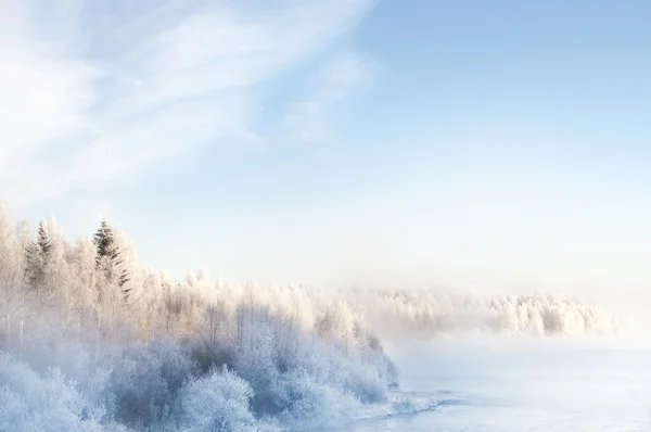 Kış manzarası, Finlandiya'da yakalanan — Stok fotoğraf