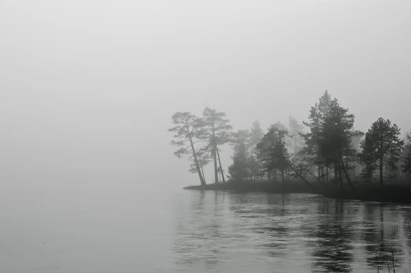 Mistige landschap met bomen in de buurt van een meer — Stockfoto