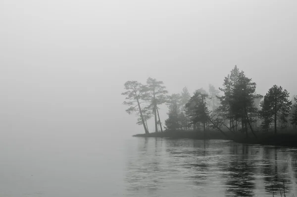 湖の近くの木が霧の風景 — ストック写真