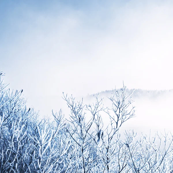 Zimowy krajobraz, zrobione w Finlandii — Zdjęcie stockowe