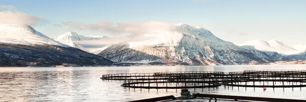 Granjas de peces en el norte de Noruega 3 1 Relación — Foto de Stock