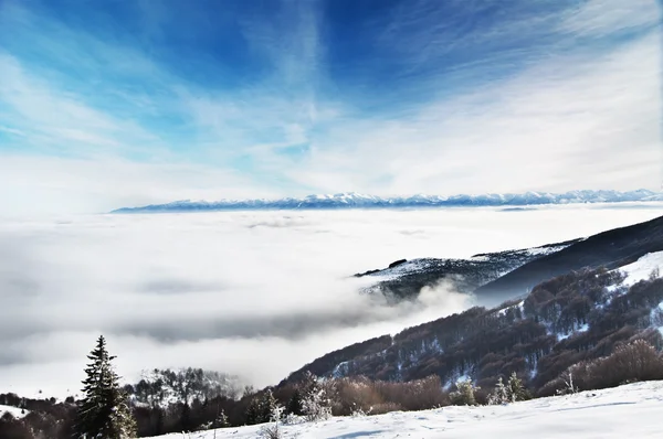 Paisagem de inverno, picos de montanha nevados e nuvens baixas — Fotografia de Stock