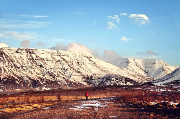 Icelandic fjords landscape — Stock Photo, Image