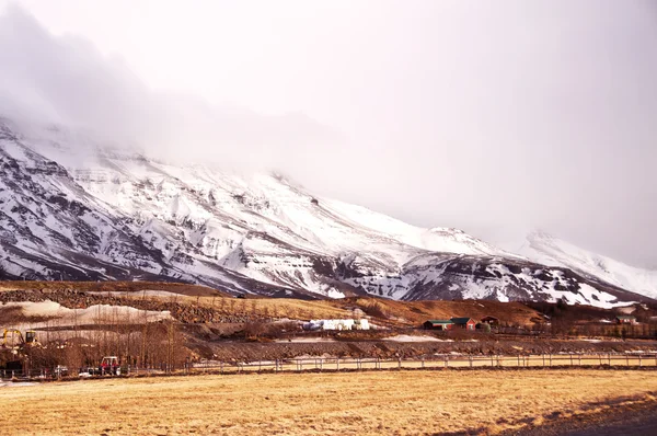 Isländische Fjordlandschaft — Stockfoto